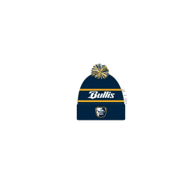 The Game Winter Hat