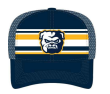 The Game Trucker Cap