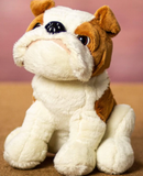 Bulldog Plush