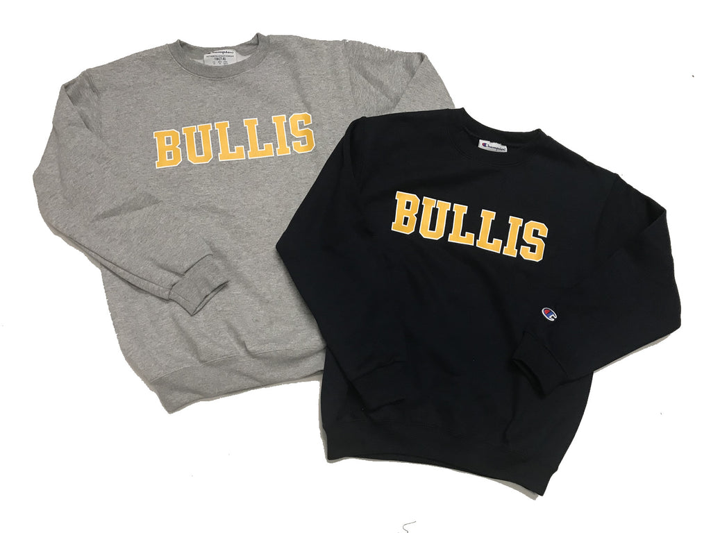 Champion on sale crewneck youth